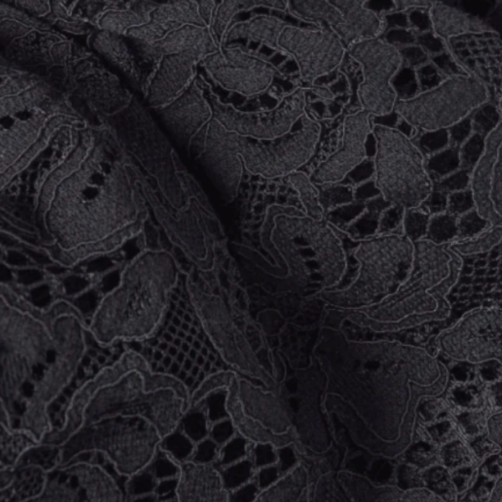 Hill House | The Lace Ellie Nap Dress | Collector’s Edition | Black Lace - Picture 6 of 9